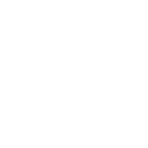 Security Shield
